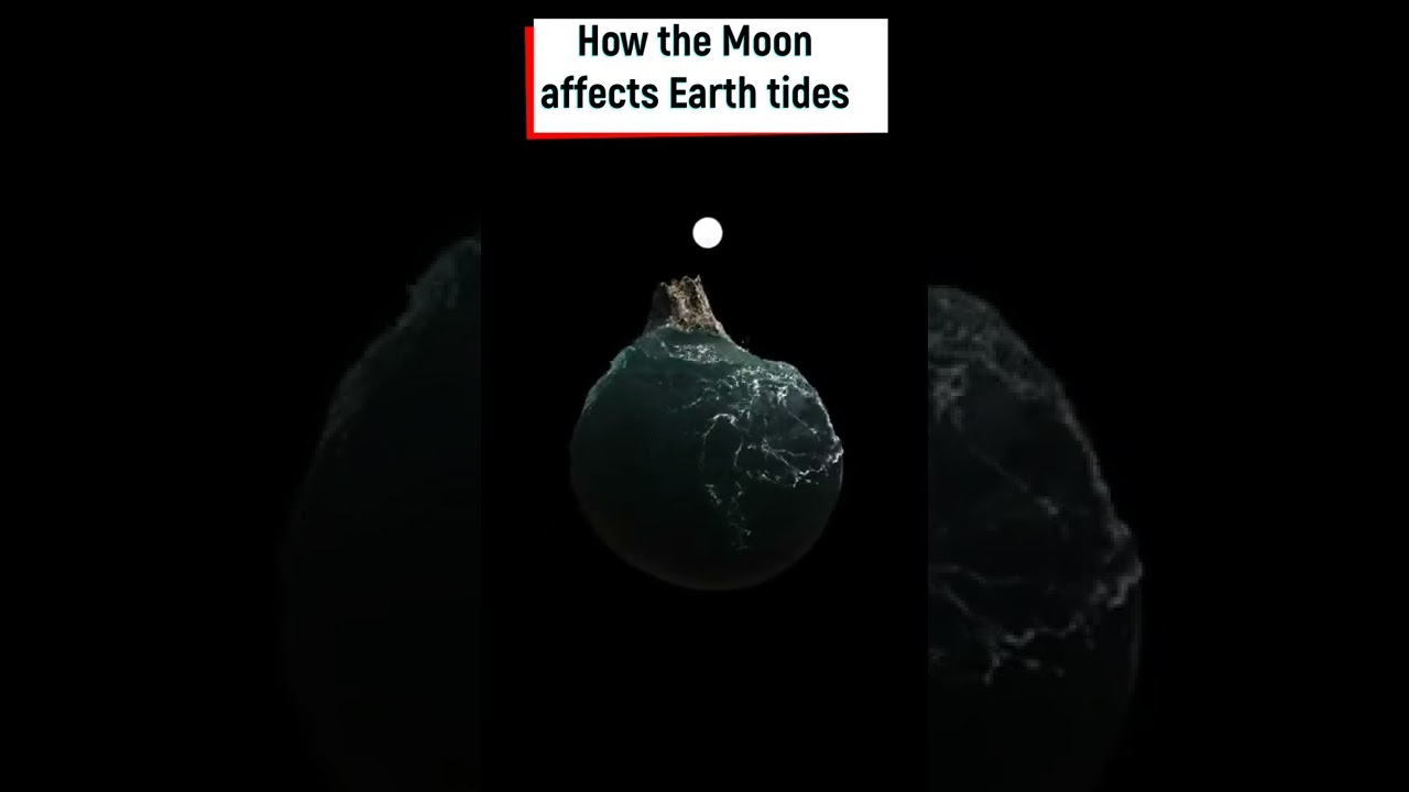 How Moon affects Earth tides 3D