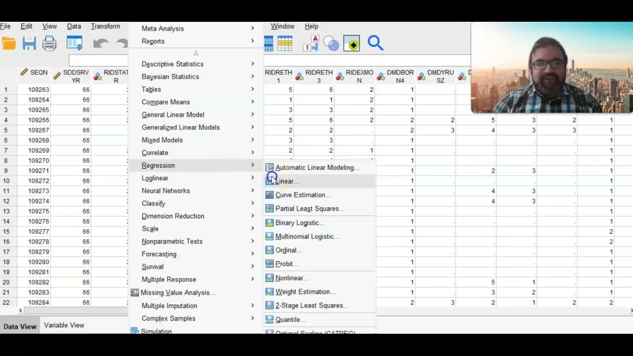 Univariate Linear Regression in SPSS