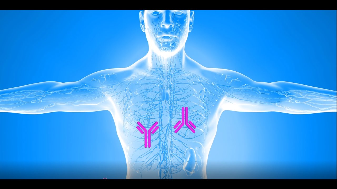 Empliciti (Elotuzumab) A New Immunotherapy Cancer Treatment for Multiple Myeloma