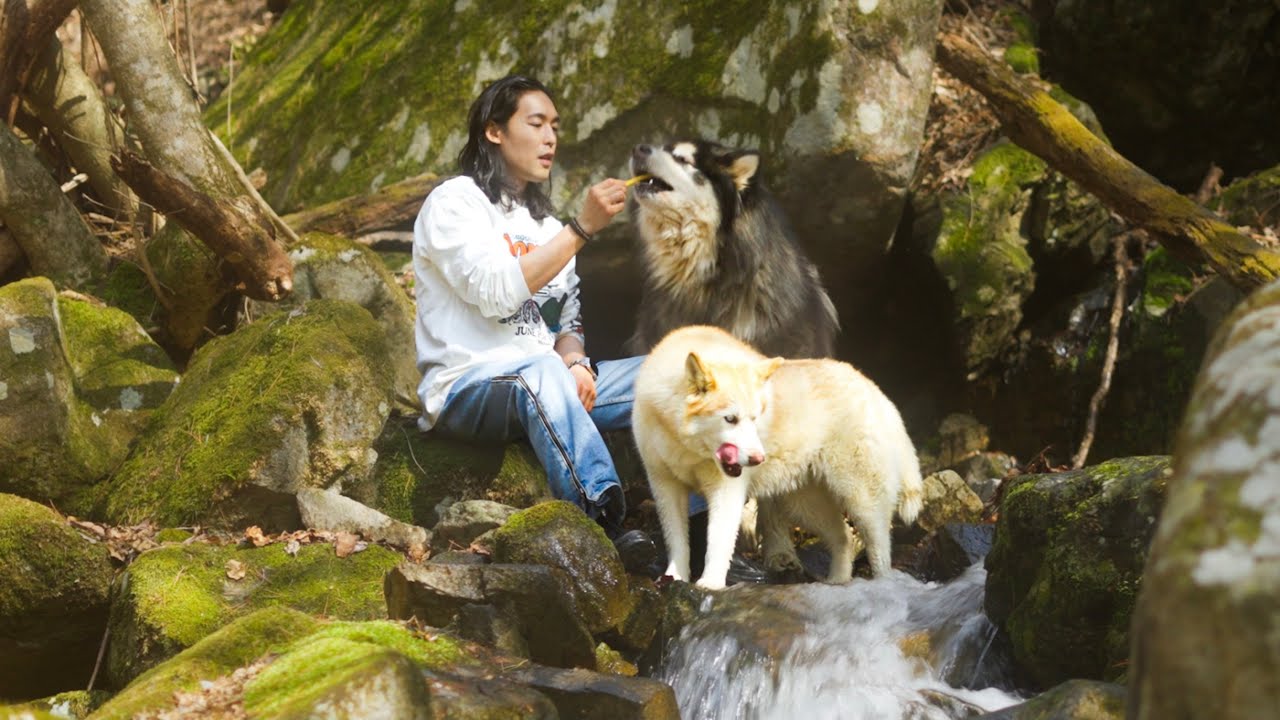 Life in the Mountains of Korea | The Joy of Spring