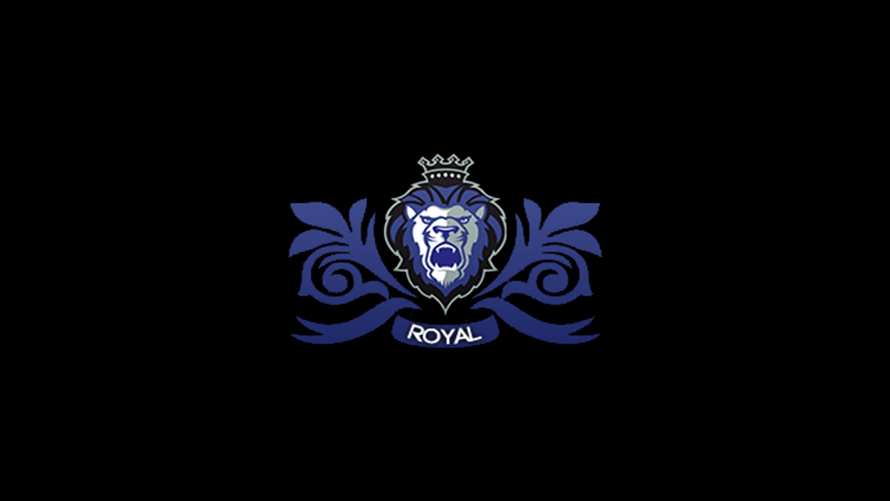 After 3 months of Royal Team // Team Presentation