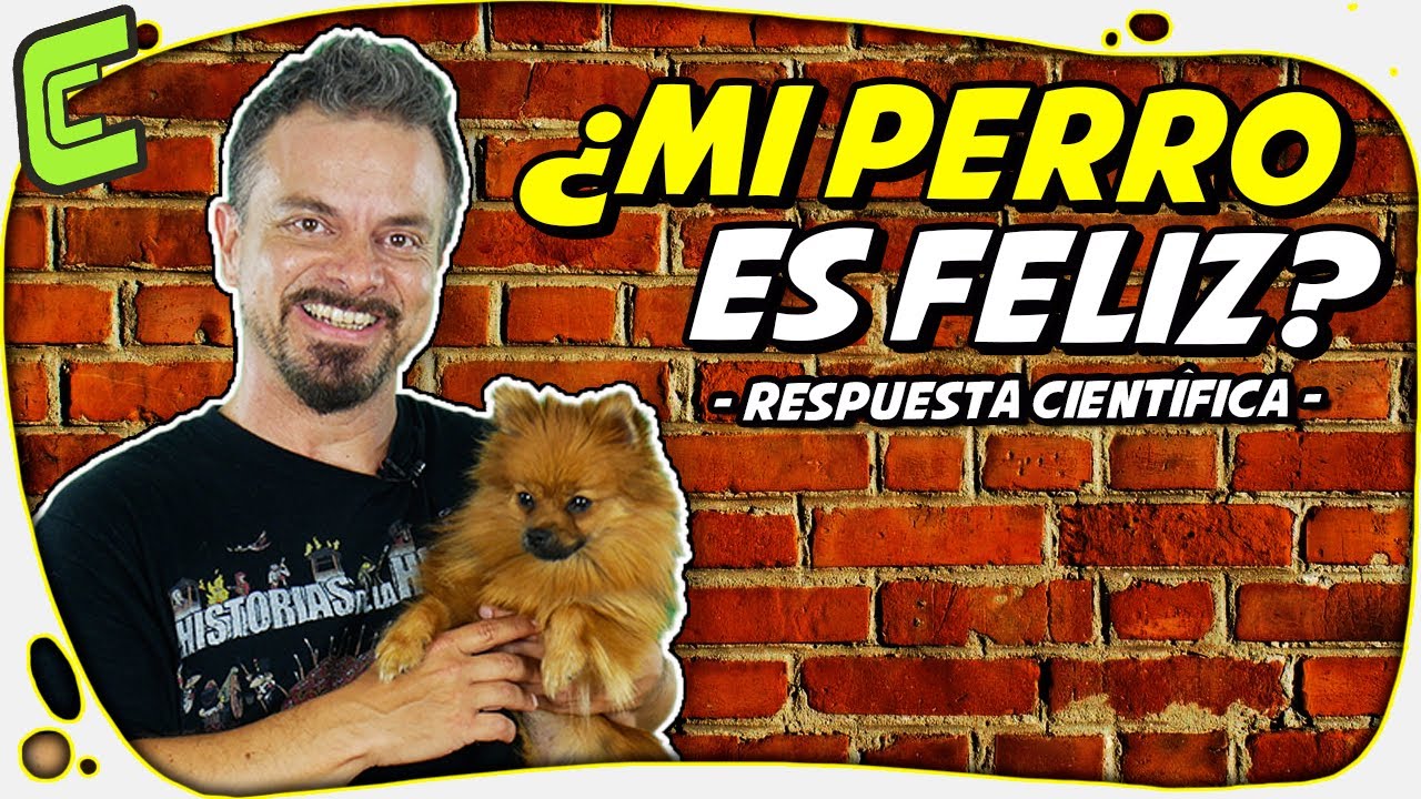 🐶 ¿Los Animales Tienen Sentimientos? | Respuesta Científica