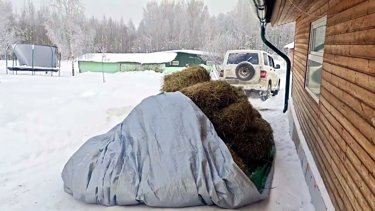 БУДНИ В УСАДЬБЕ❄️