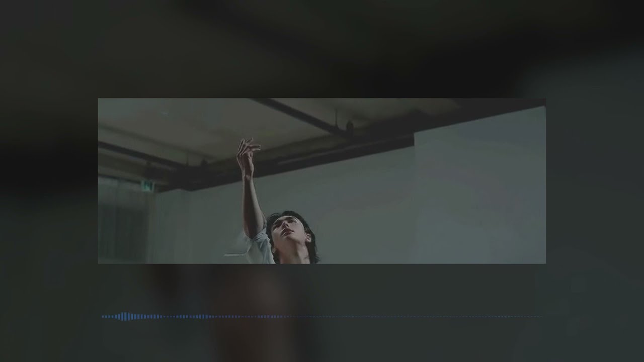 𝔃𝓪𝔂𝓷 _ 𝓫𝓸𝓻𝓭𝓮𝓻𝓼𝔃 ; slowed + reverb
