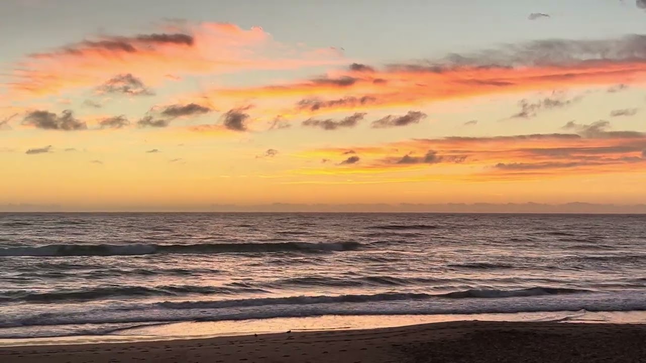 25.02.2026 Sydney Surf Report Manly Beach Australia