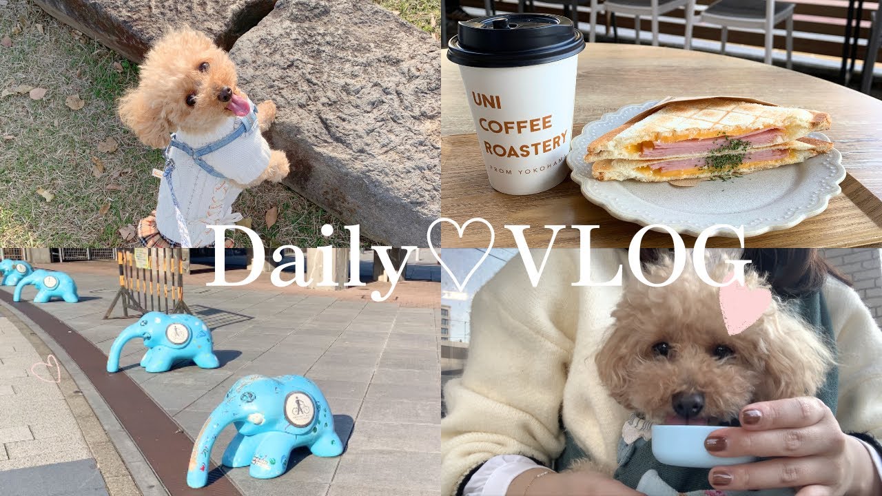 vlog🍓🐩|トイプードルのララちゃんと過ごす静かな日々｜銀座SIX・象の鼻パーク・苺パフェの記憶