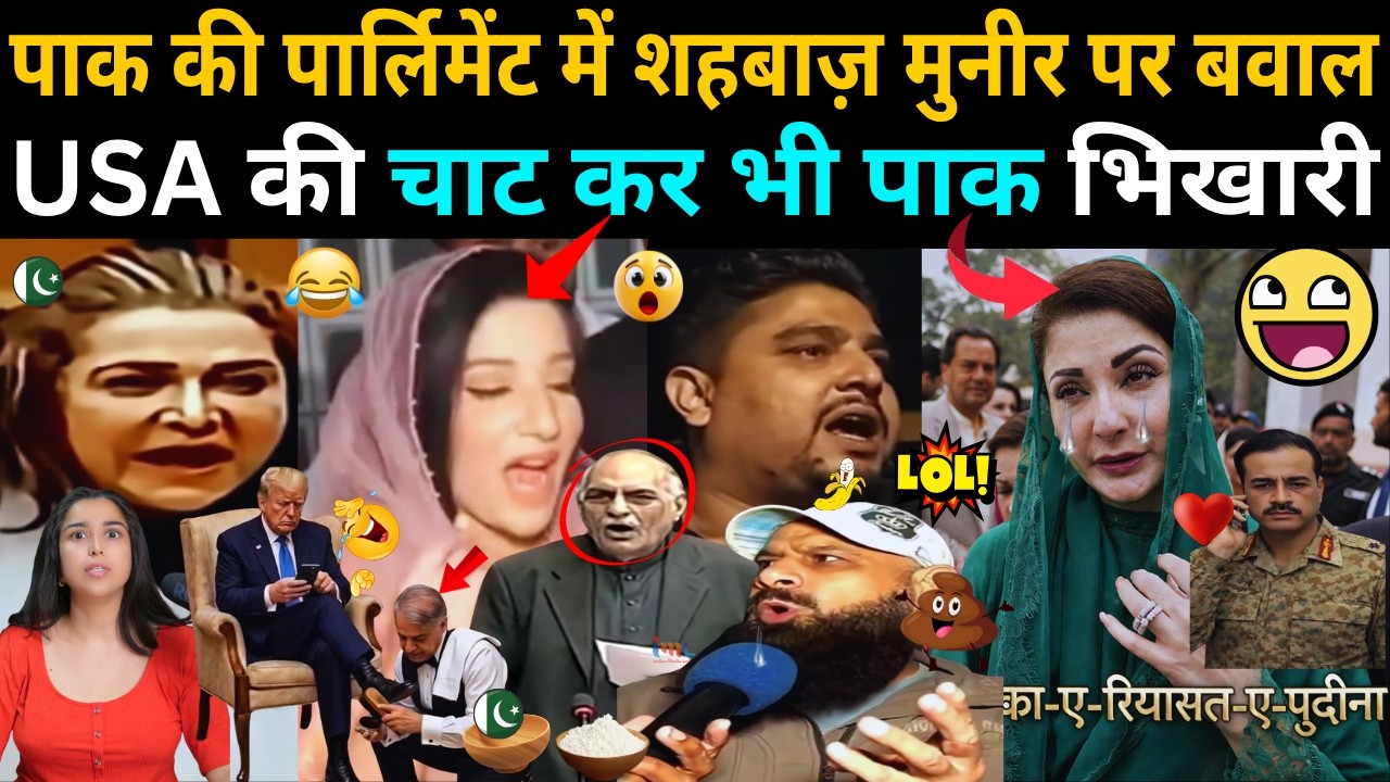 Pakistani  Parliament या Reality Show 🎬 | Netflix भी शरमा जाए 🍿