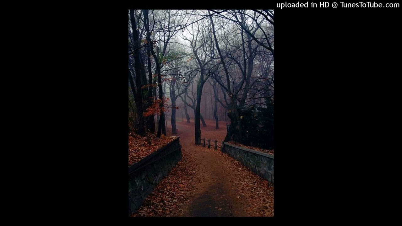 “it’s been a while” greaf x surrenderdorothy type beat