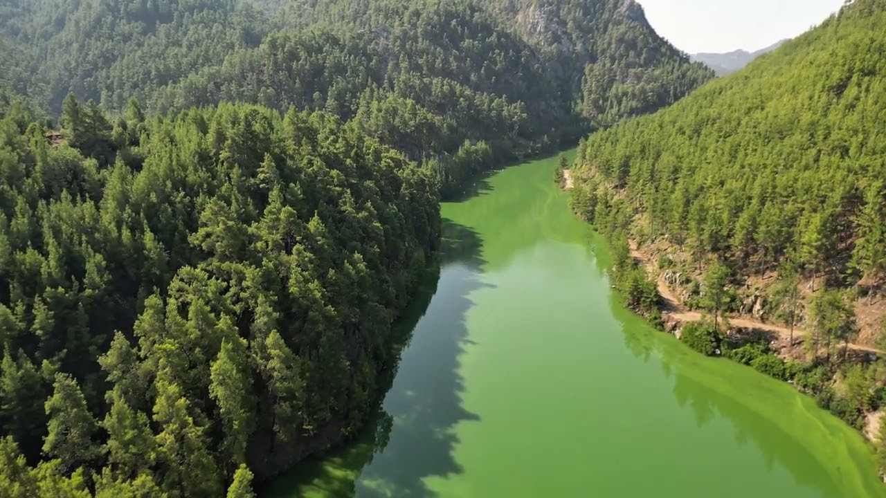 Sığla Ormanlarında SUP Keyfi 🚣‍♂️ | Eşsiz Doğa, Buz Gibi Sular ve Macera Dolu Bir Gün!