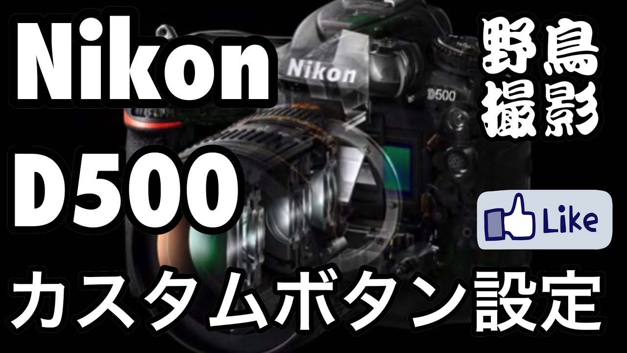 ☆C♪R☆ カスタムボタン設定！Nikon D500AFエリア！！野鳥撮影時！Ver.1.0