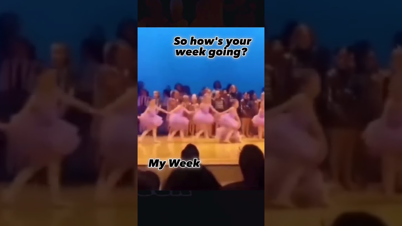 When they ask how my week is going #myweek #funny #lol