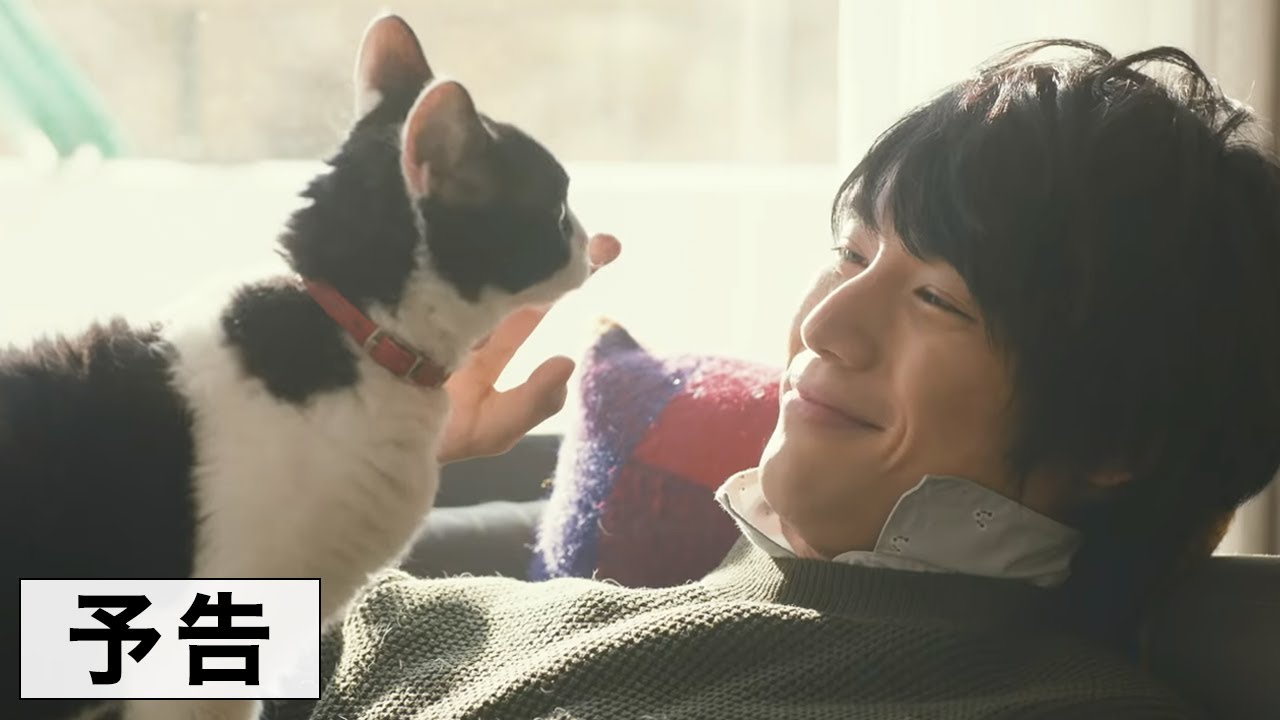 映画『旅猫リポート』予告編