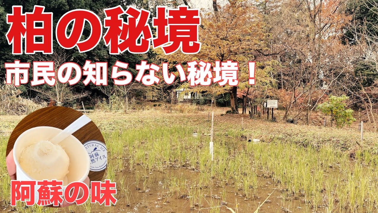 【柏市】酒井根に里山？！阿蘇の絶品アイス！