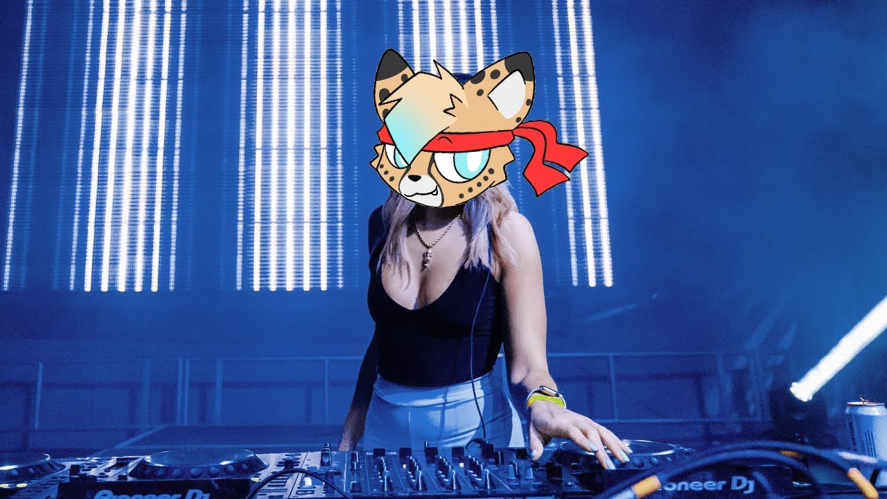 PixelCheetah Birthday Fest DJ Mix