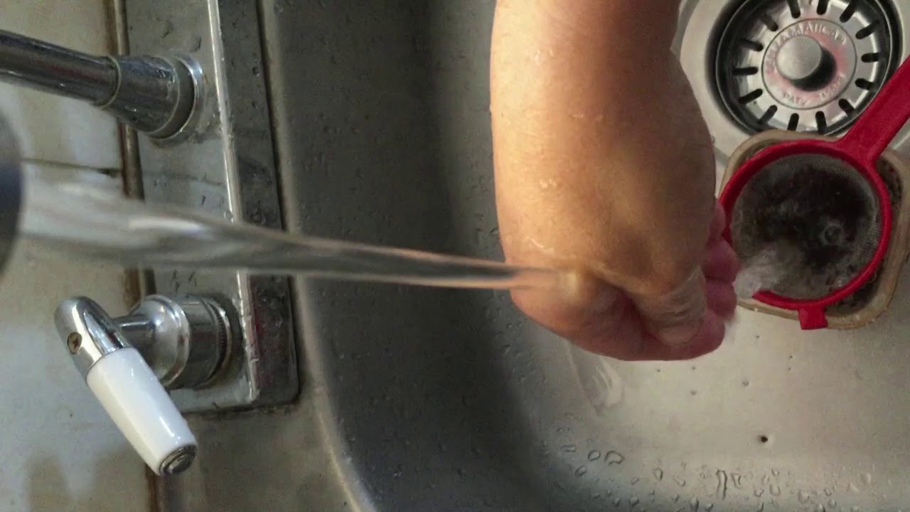 COMO HACER GERMINADO DE MOSTAZA SUPER FACIL Y ECONOMICA!!