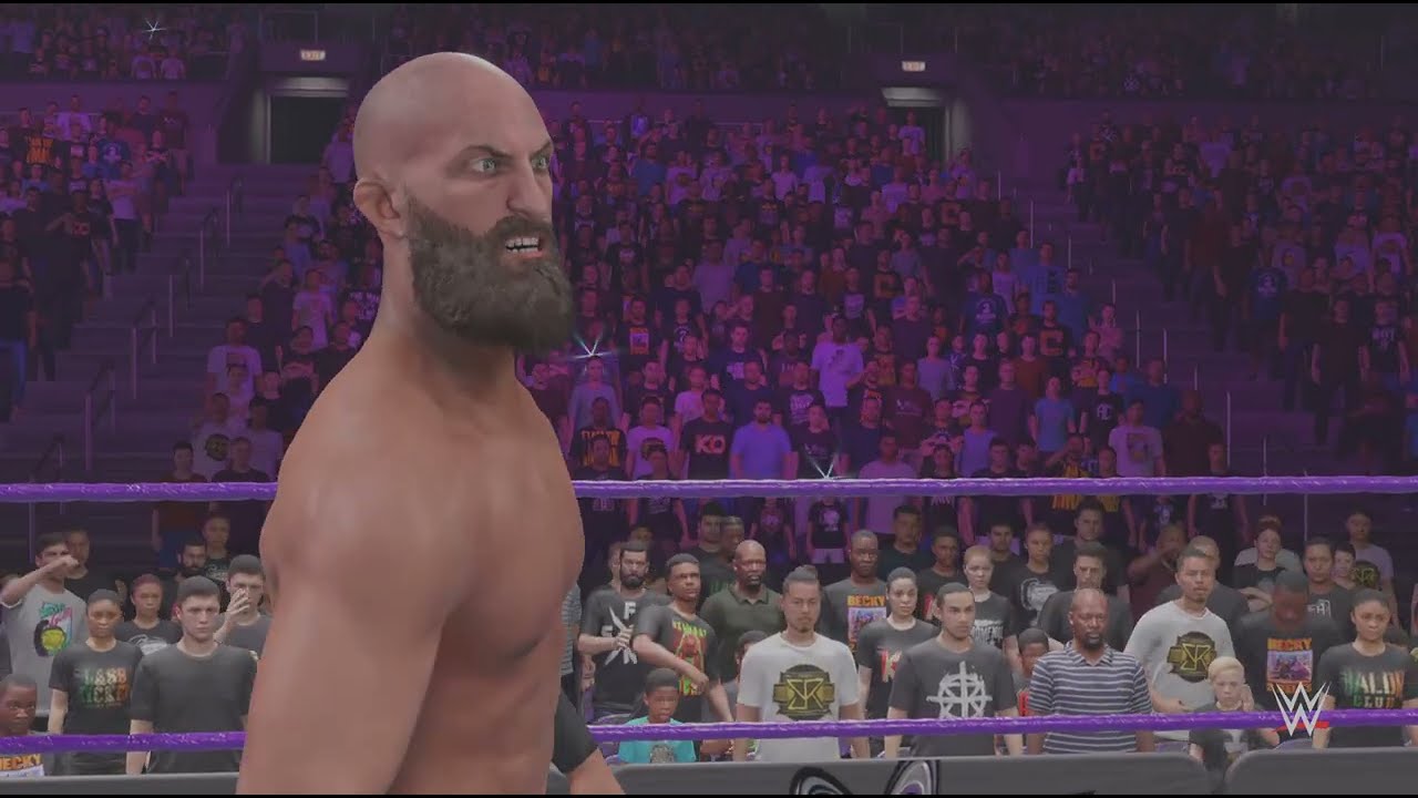 WWE 2K25