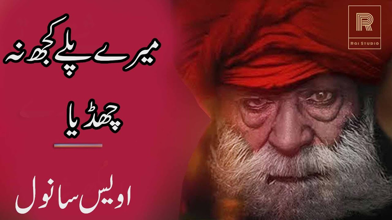 New Punjabi Poetry | Owais Sanwal | 2 Line Punjabi Poetry | Punjabi Shayari | Two Line Poetry