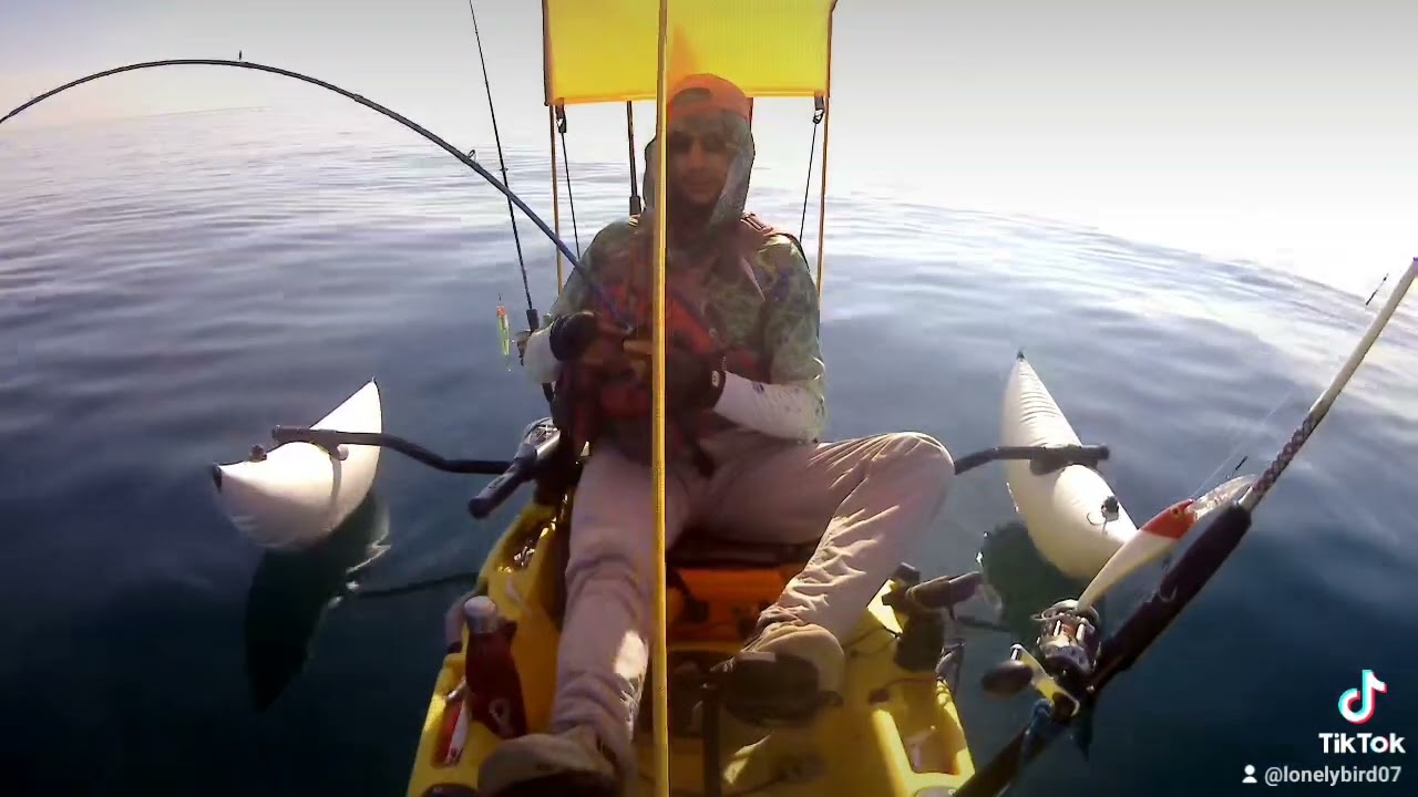 catch and realise giant trivaly