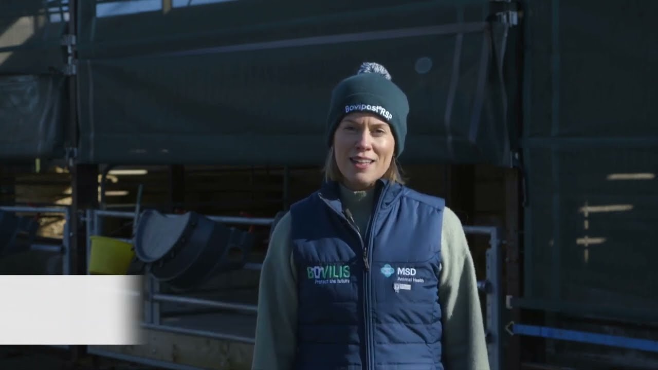 Calf Pneumonia: The importance of providing the broadest protection against Mannheimia haemolytica