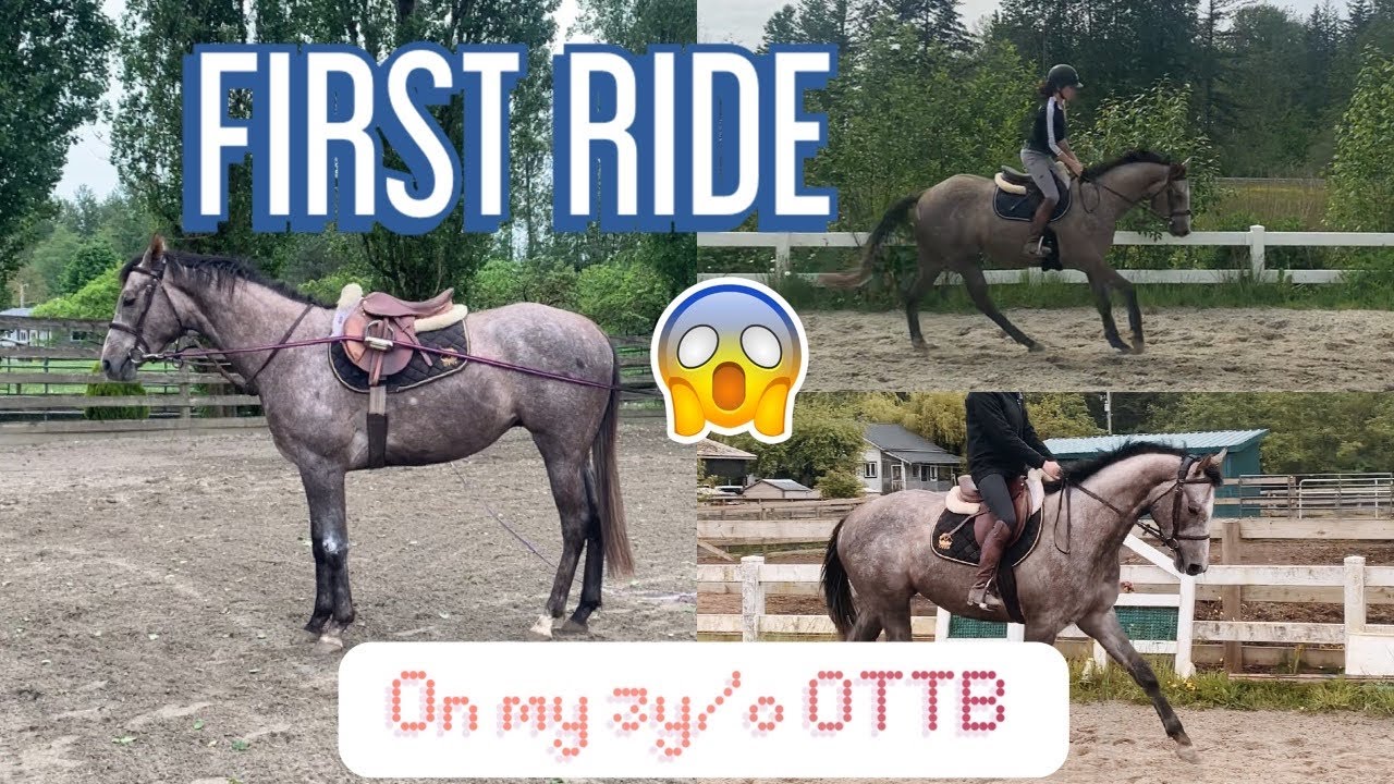 FIRST RIDE ON MY YOUNG THOROUGHBRED