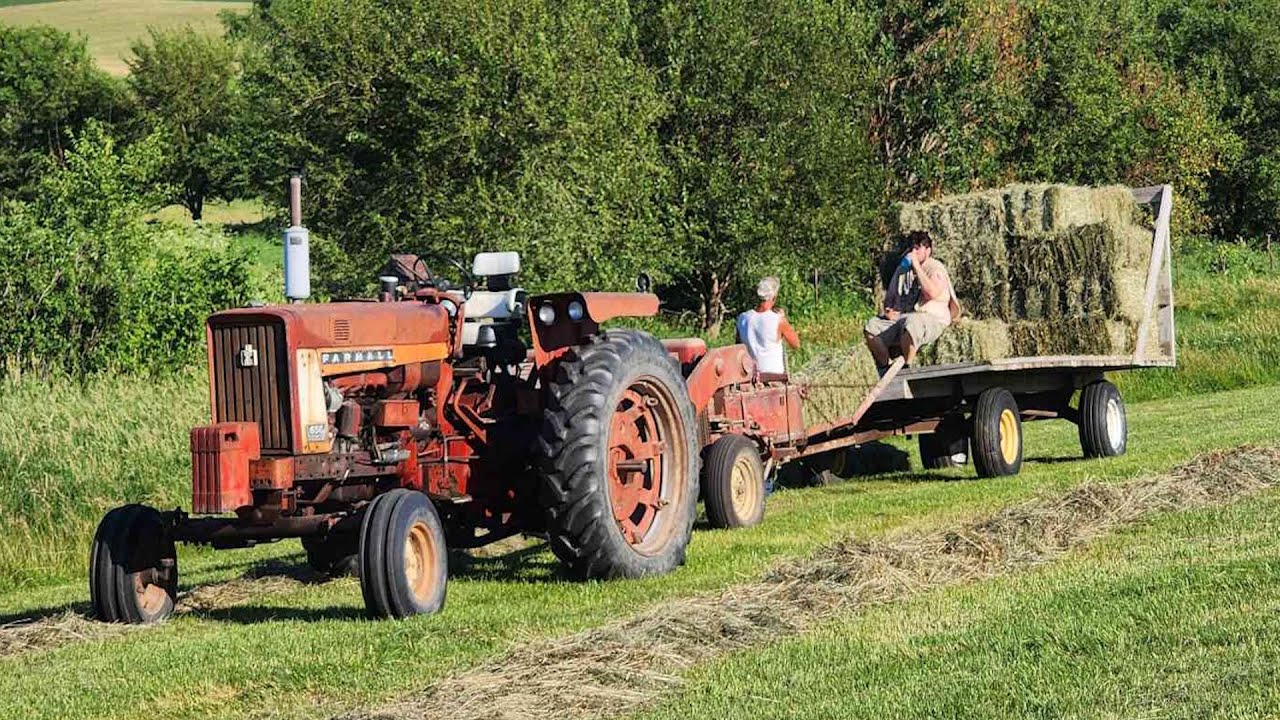 Farmall 656 Raking & Square Baling Hay