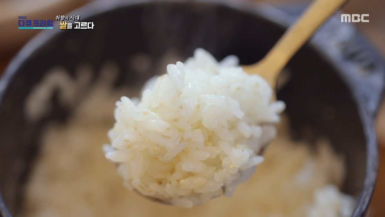 [MBC 다큐프라임] 쌀 품종을 고르고 파는 쌀 편집숍, 밥맛이 좋아지는 비결은?, MBC 260125 방송