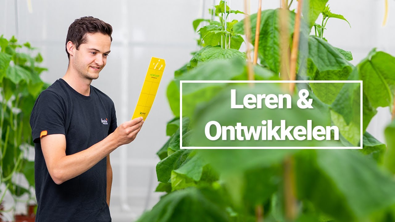 Leren & Ontwikkelen bij Koppert