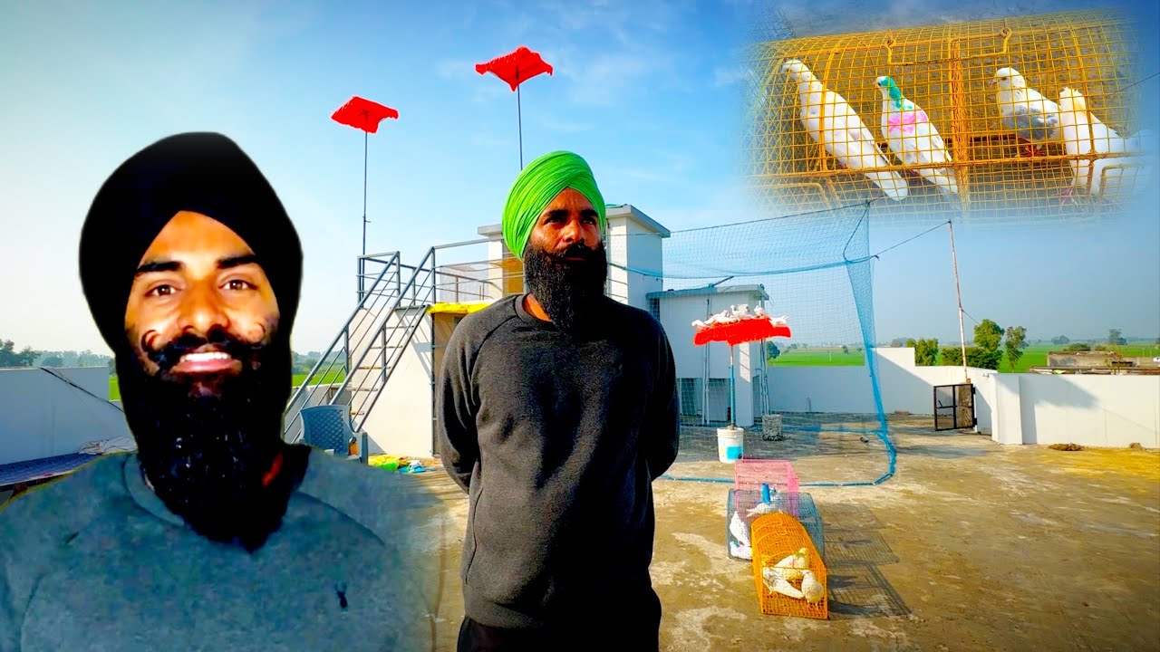 ਲਉ ਜੀ ਅੱਜ ਚਾਰ ਜੋੜੀਆਂ ਹੋਰ ਲਾ ਦਿੱਤੀਆਂ ਕਰੋ ਸ਼ੌਂਕ @GopiMalikpur 