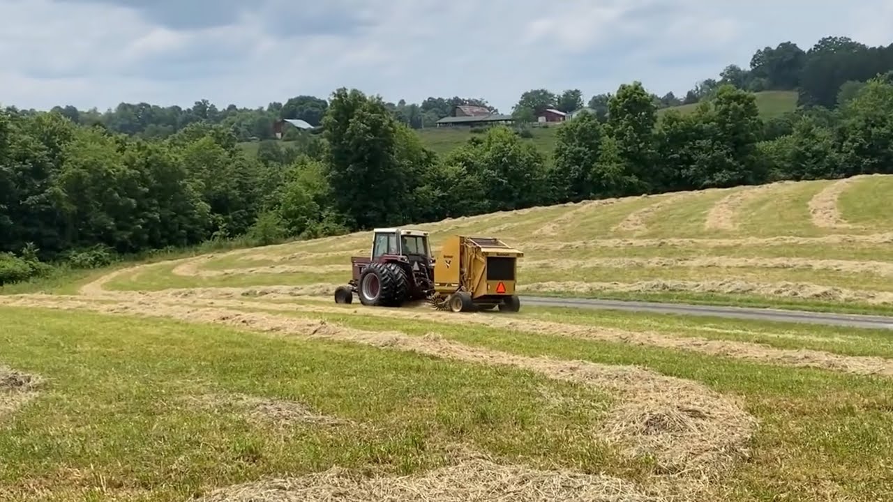 Spring Hay Day