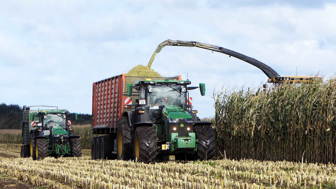 Mais Silage 2023 | New Holland FR650 + John Deere + Case IH | Vesthimmerland