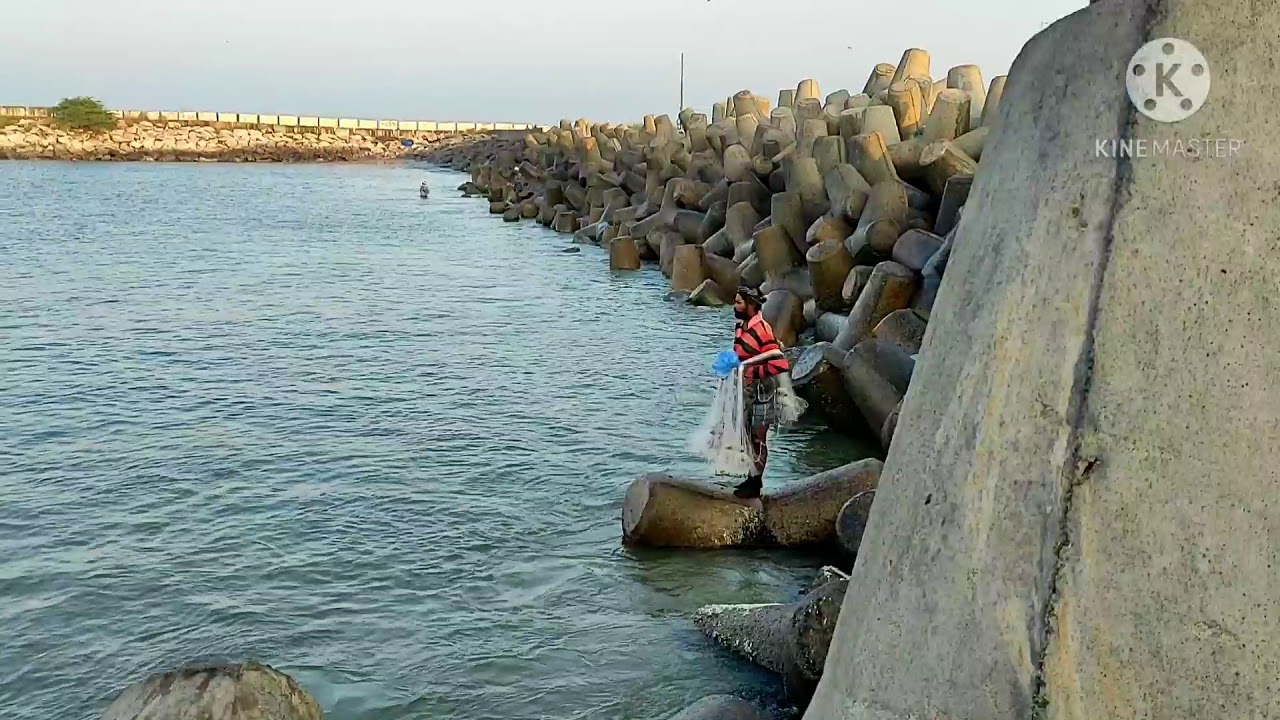 Neendakara Fishing Harbour  Neendakara Fishing Harbour