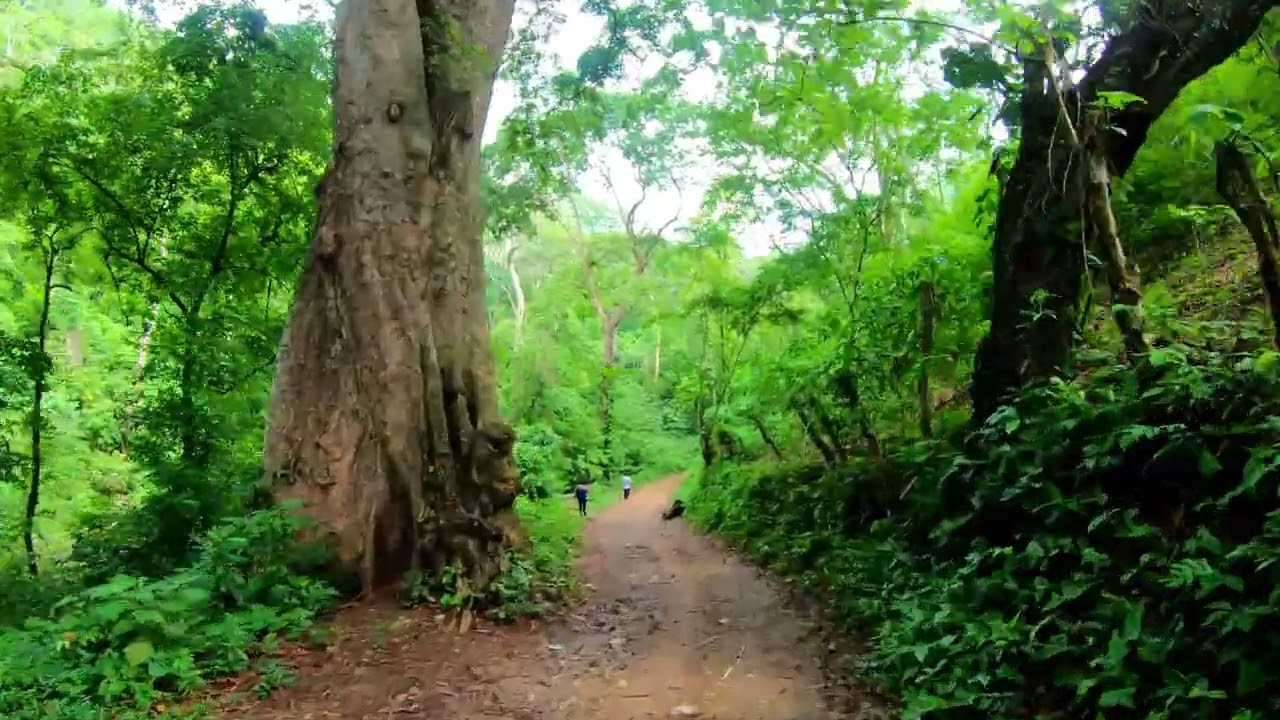 VILLANUEVA CORTES HONDURAS 2022 | Recorriendo el SENDERO LAS MINAS en MOTOCICLETA