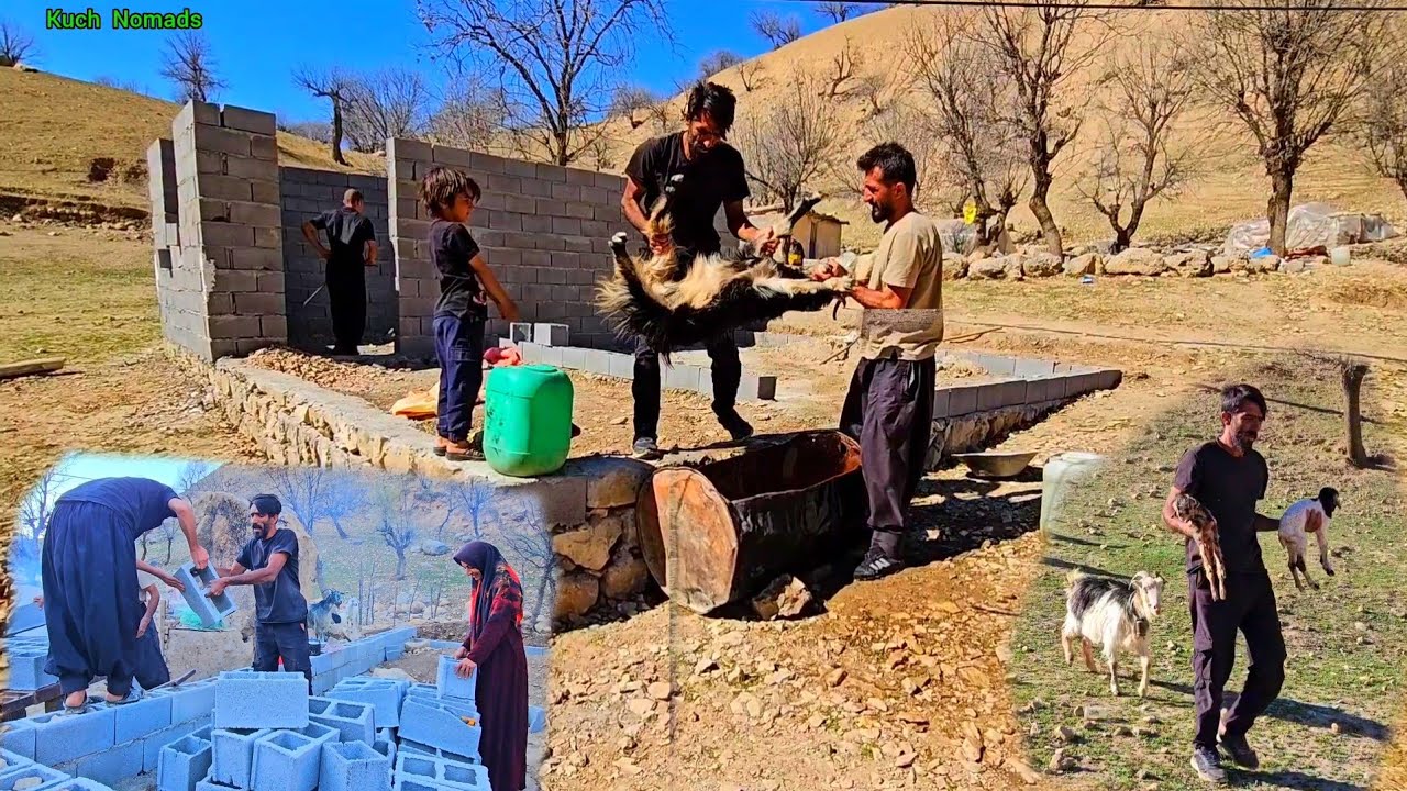 The Great Challenge of Hope in the Mountains | Saving Sheep from Lice in the Heart of Nature😱