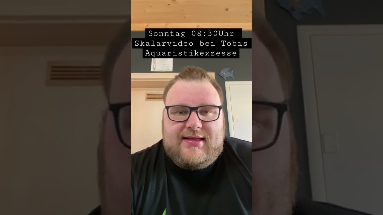 Skalarvideo bei Tobis Aquaristikexzesse, diesen Sonntag 08:30uhr