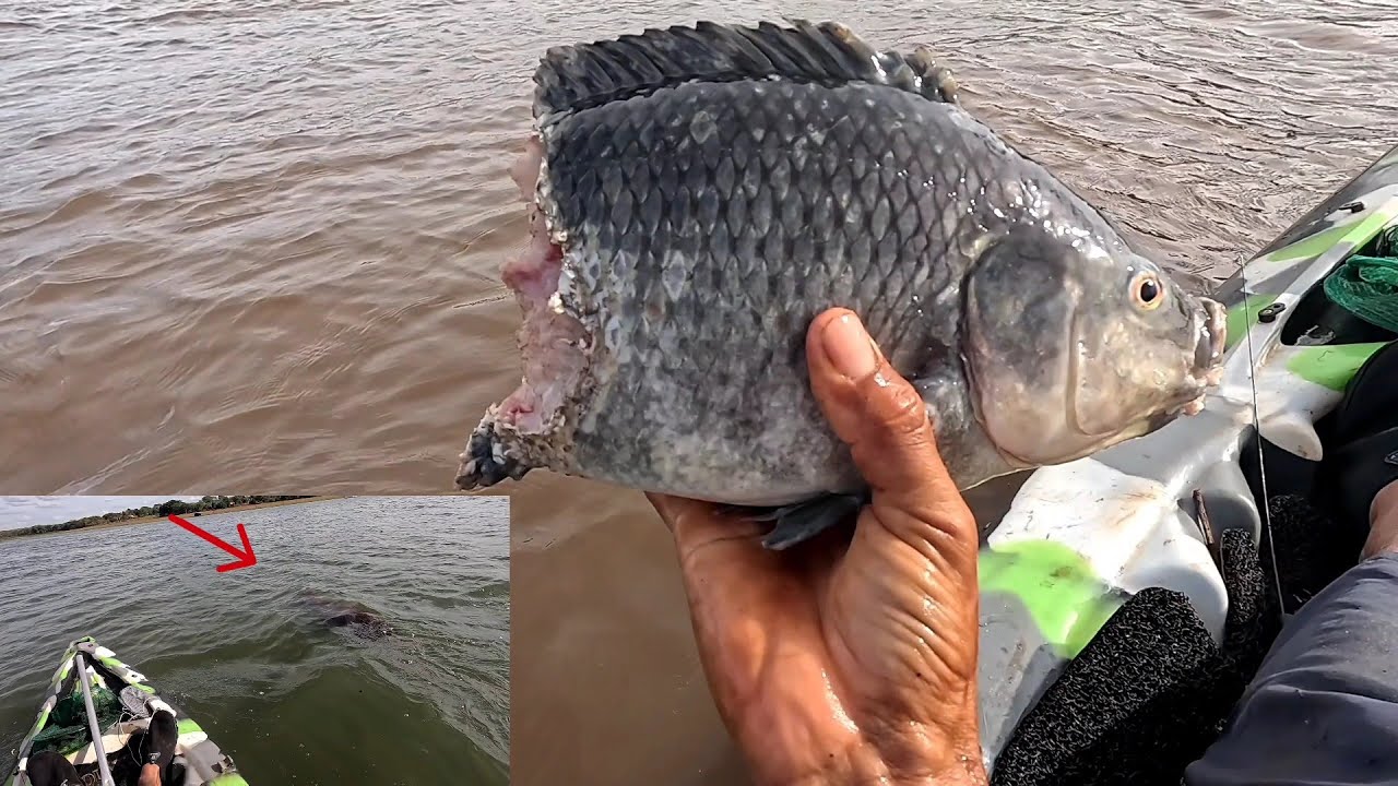 Pescaria de tucunaré no Rio grande tem coisas que é melhor agente nem ver que doideira