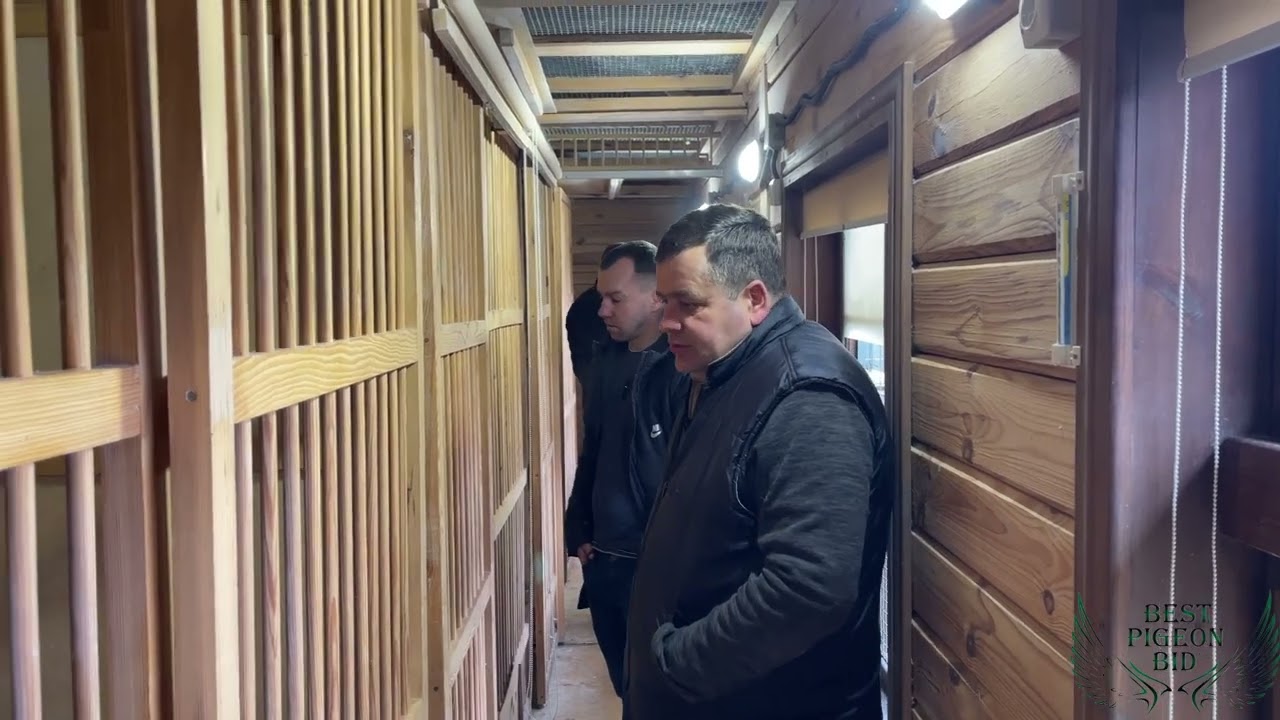Роман Москаль  представлення голубовода!