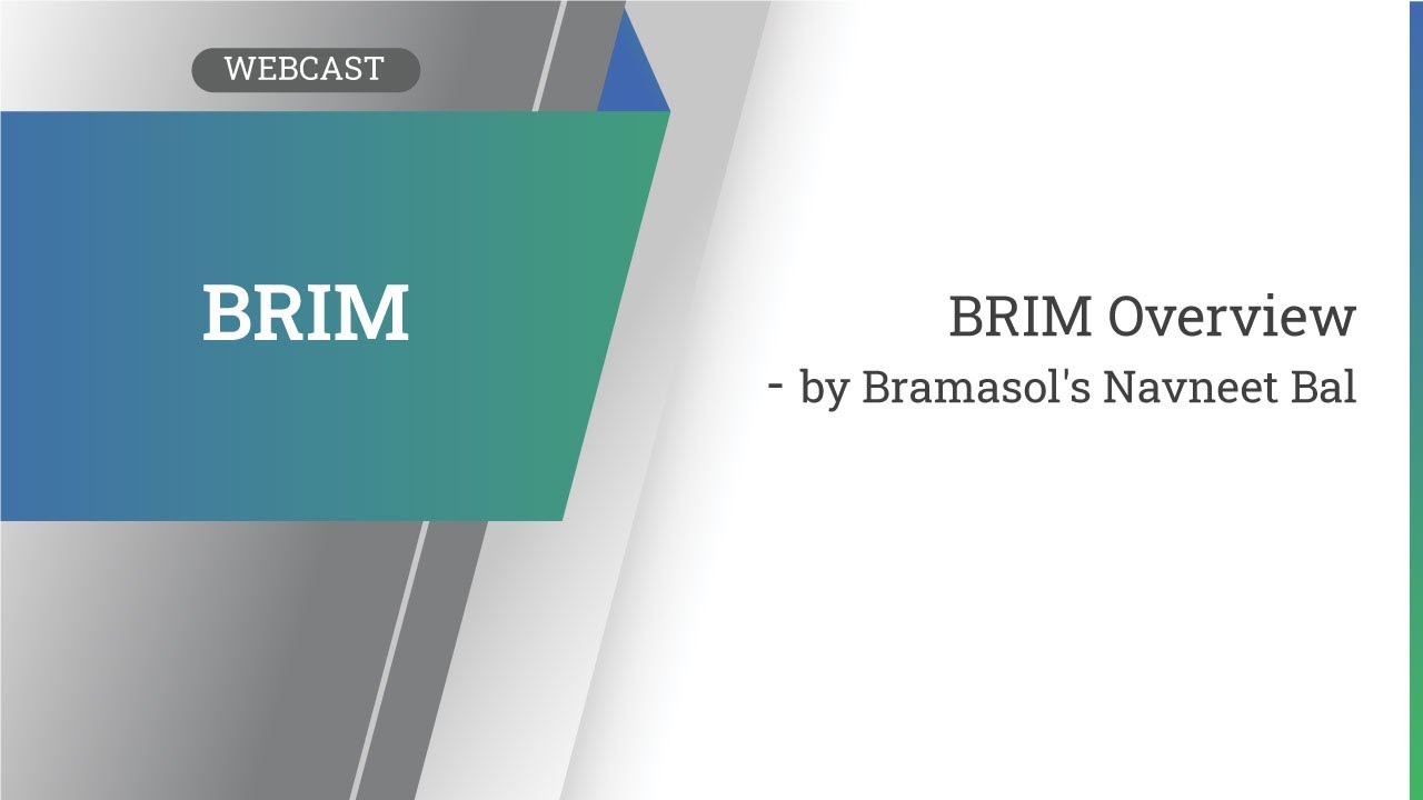 BRIM Overview Webcast - by Bramasol's Navneet Bal