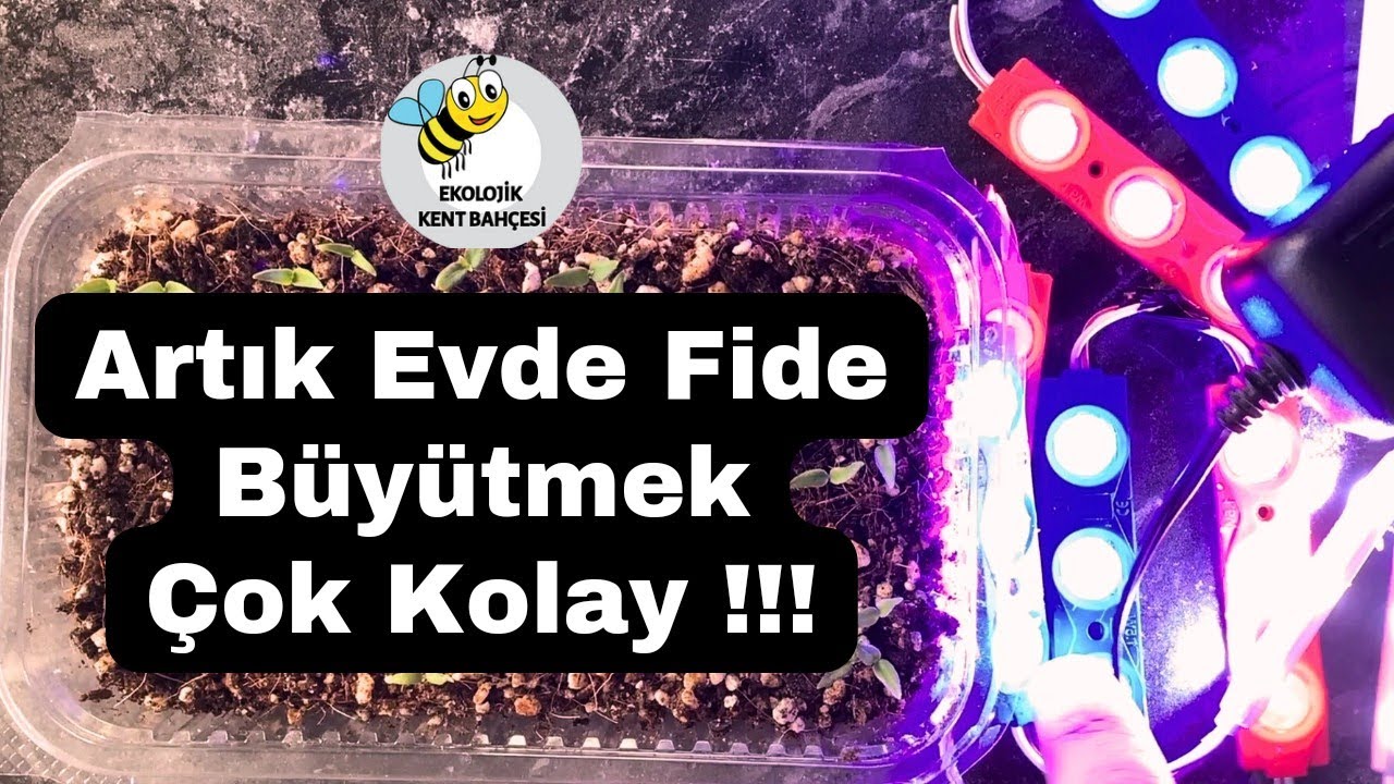 EVDE LED IŞIKLARLA FİDE YETİŞTİRME