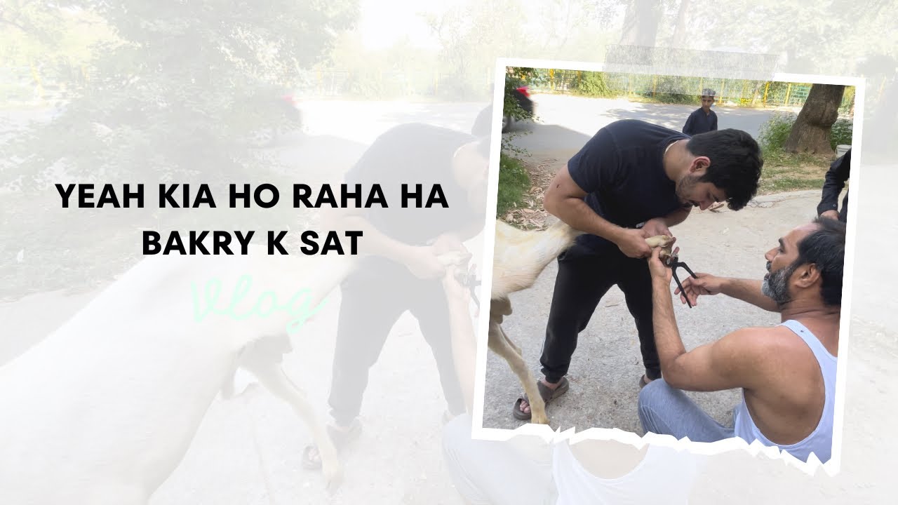 Bakray k khur kat diye | bakra eid vlog | bakra eid 2024 |