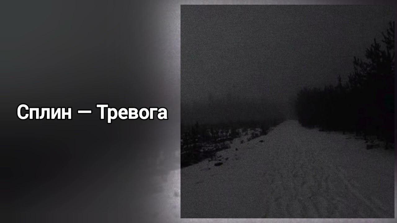 Сплин-Тревога //#музыка #песни// СПЛИН песня💤