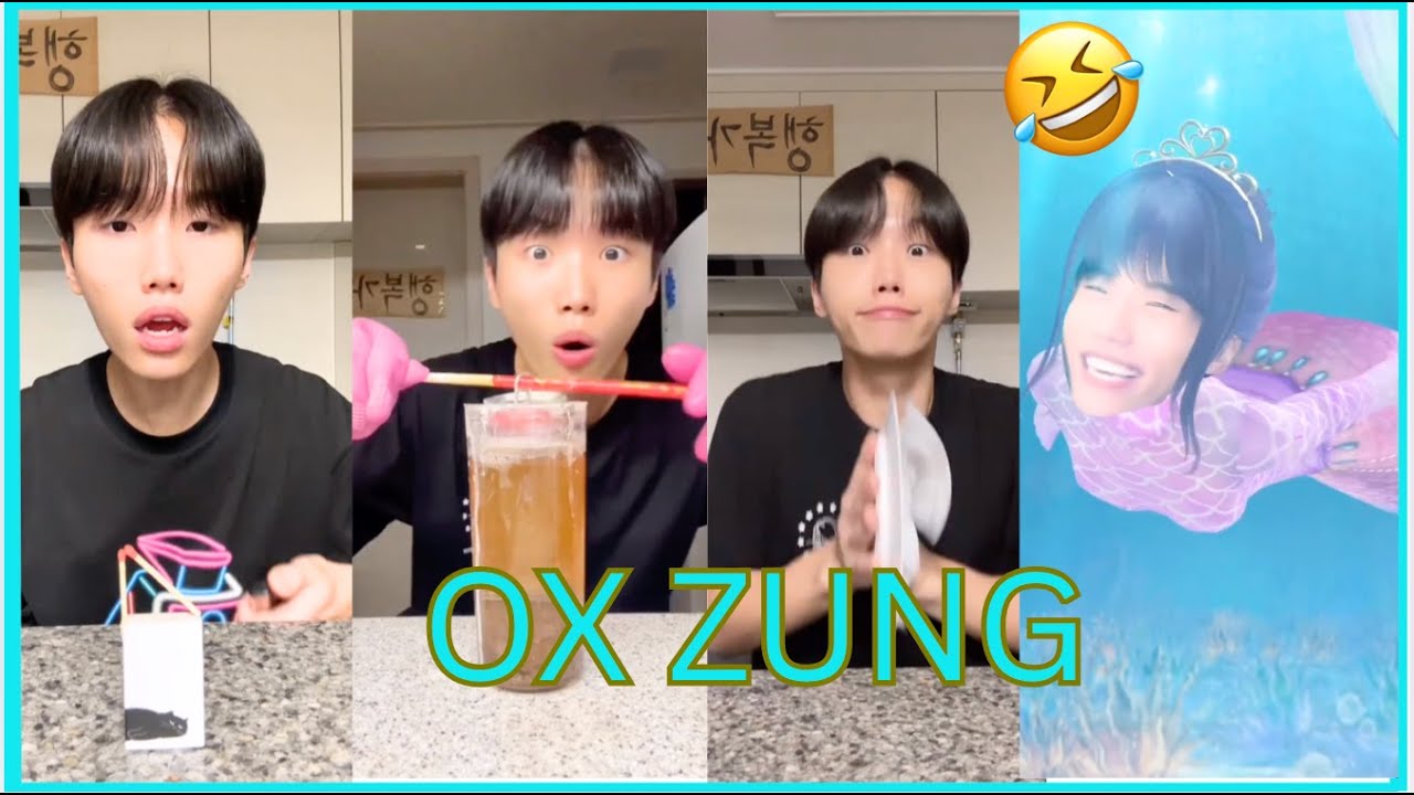 Ultimate Funny Videos 
