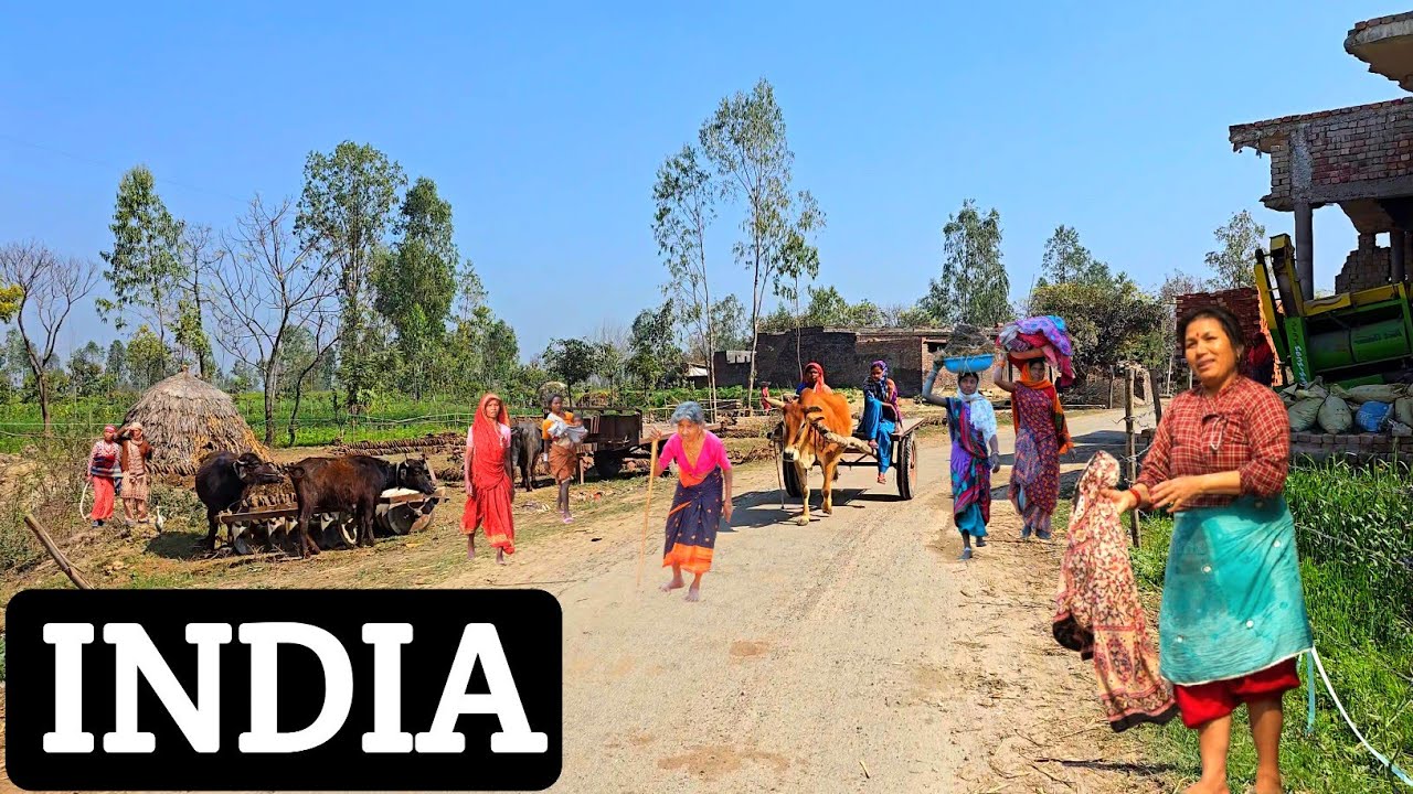 🇮🇳This Is The Real India Of present times ] Daily Life Of People In India #VillajeMarket 