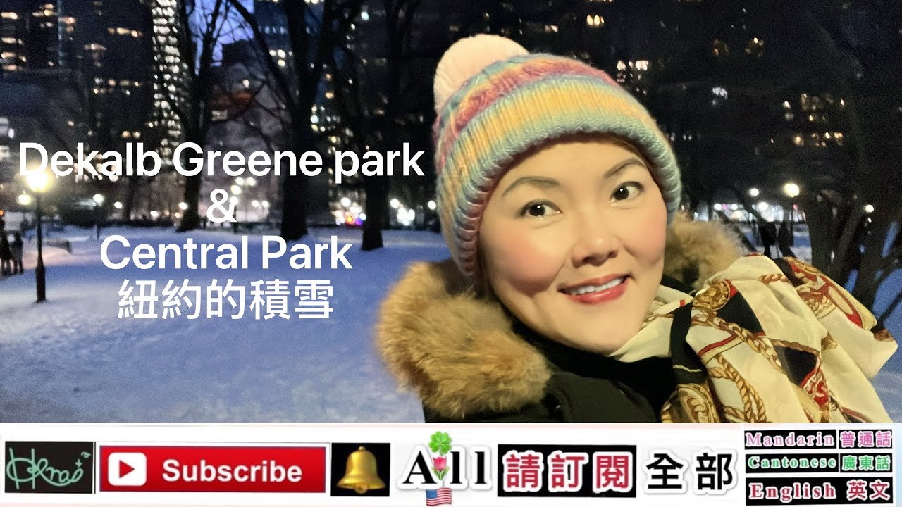 Dekalb Greene park & Central Park,紐約的積雪，Venus Yan A,2/15/2026(🇺🇸,F)