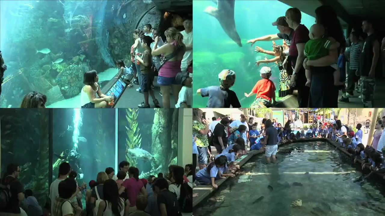 Aquarium of the Pacific