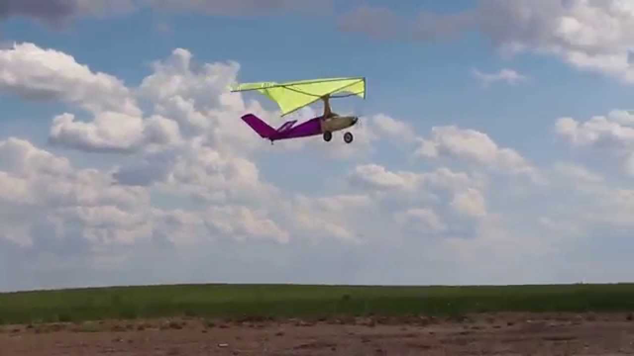 Regallo wing Vee tail Seniorita