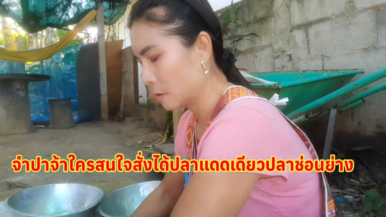 # กิจวัตรประจําวันนี่คือ สิ่งที่ยายทำสนใจทักได้นะปลาช่อน ปลาช่อนแดดเดียวปลาช่อนนาย่างและแมงดา