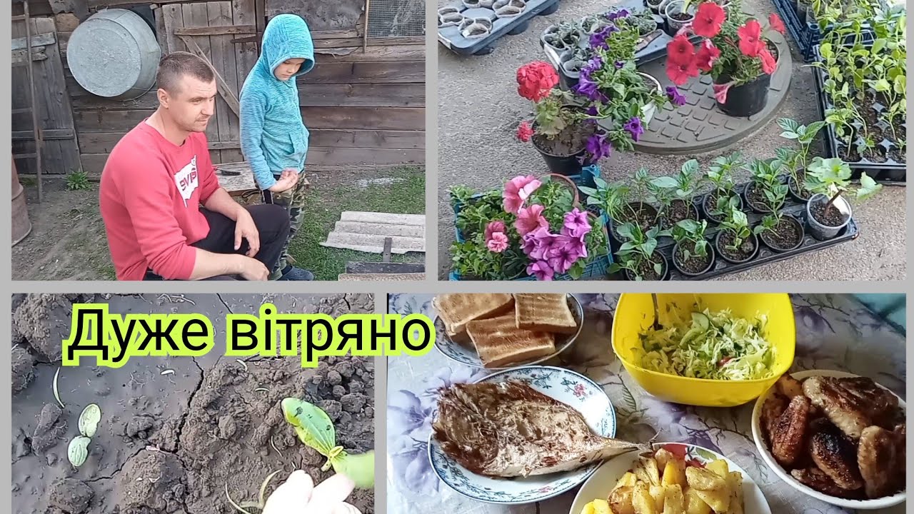 Чоловік з інтернету😁.Вже й сапати пора