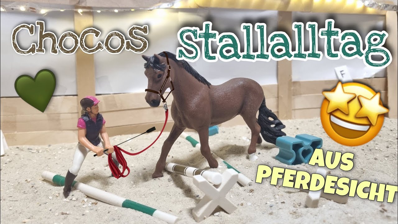 Chocos Stallalltag aus PFERDESICHT🐎👀