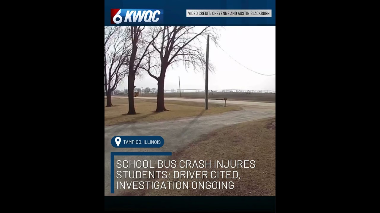 School bus crash injures students; driver cited, investigation ongoing  in Whiteside County