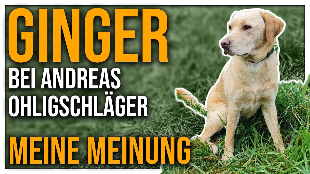 Ginger im TV - Das sage ich dazu - TGH XXL 10